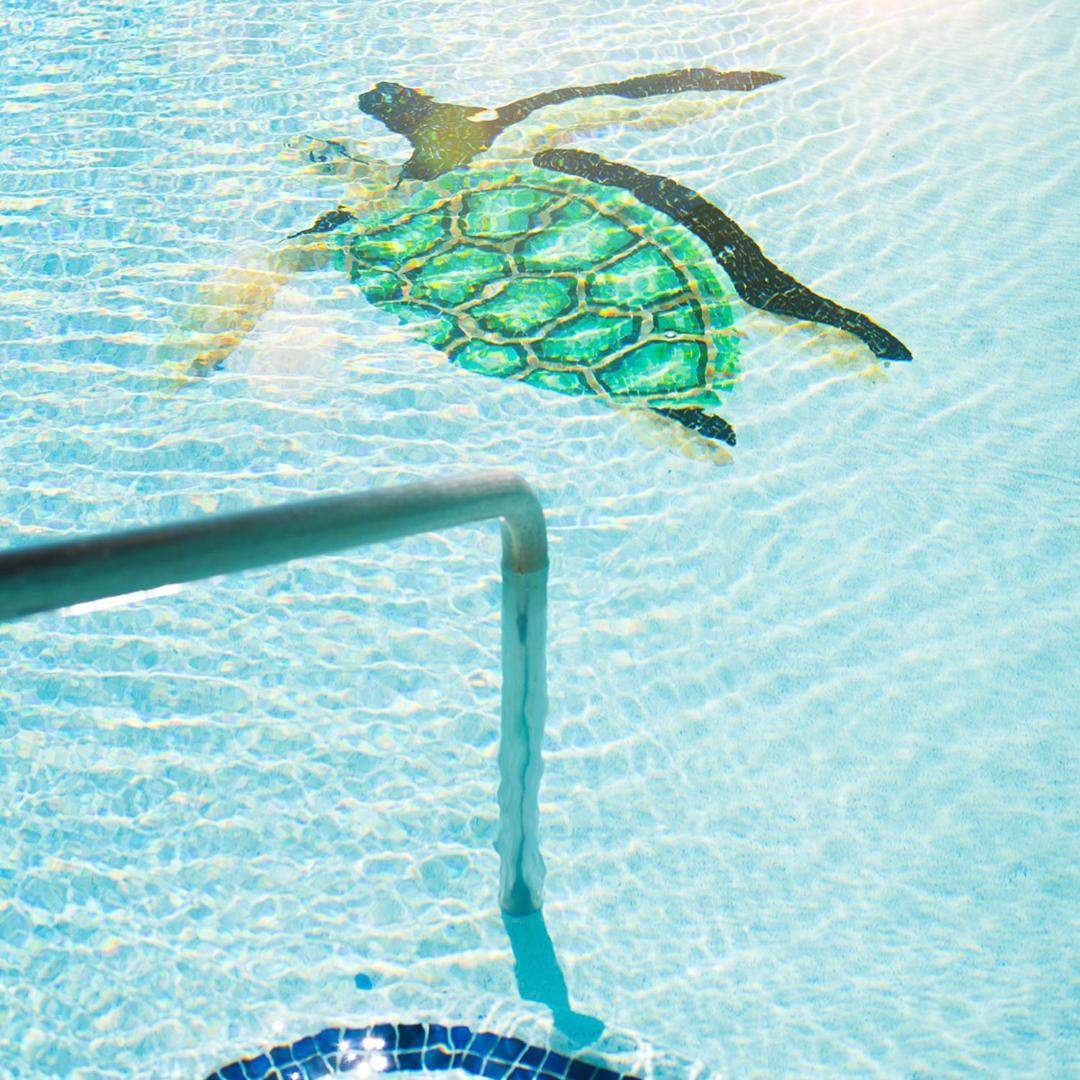 Sea Of Cortez Beach Club San Carlos Nuevo Guaymas Εξωτερικό φωτογραφία